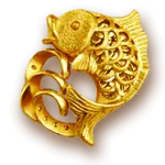 fish active Icon